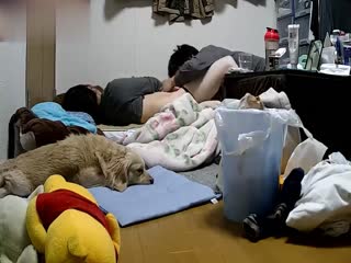 国产AⅤ丝袜美腿丝袜,亚洲一区国产精品喷潮